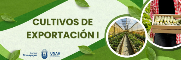 Cultivos de Exportación I